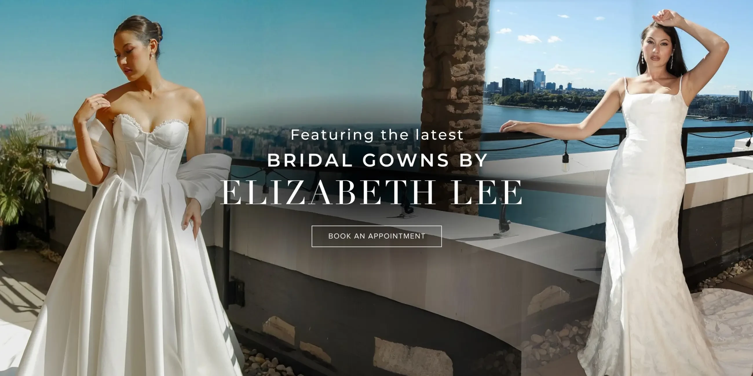 Elizabeth Lee 2025 Banner Desktop