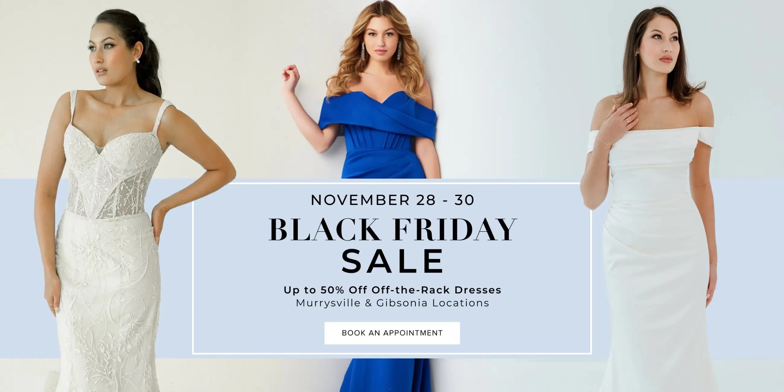 black friday sale banner 2025