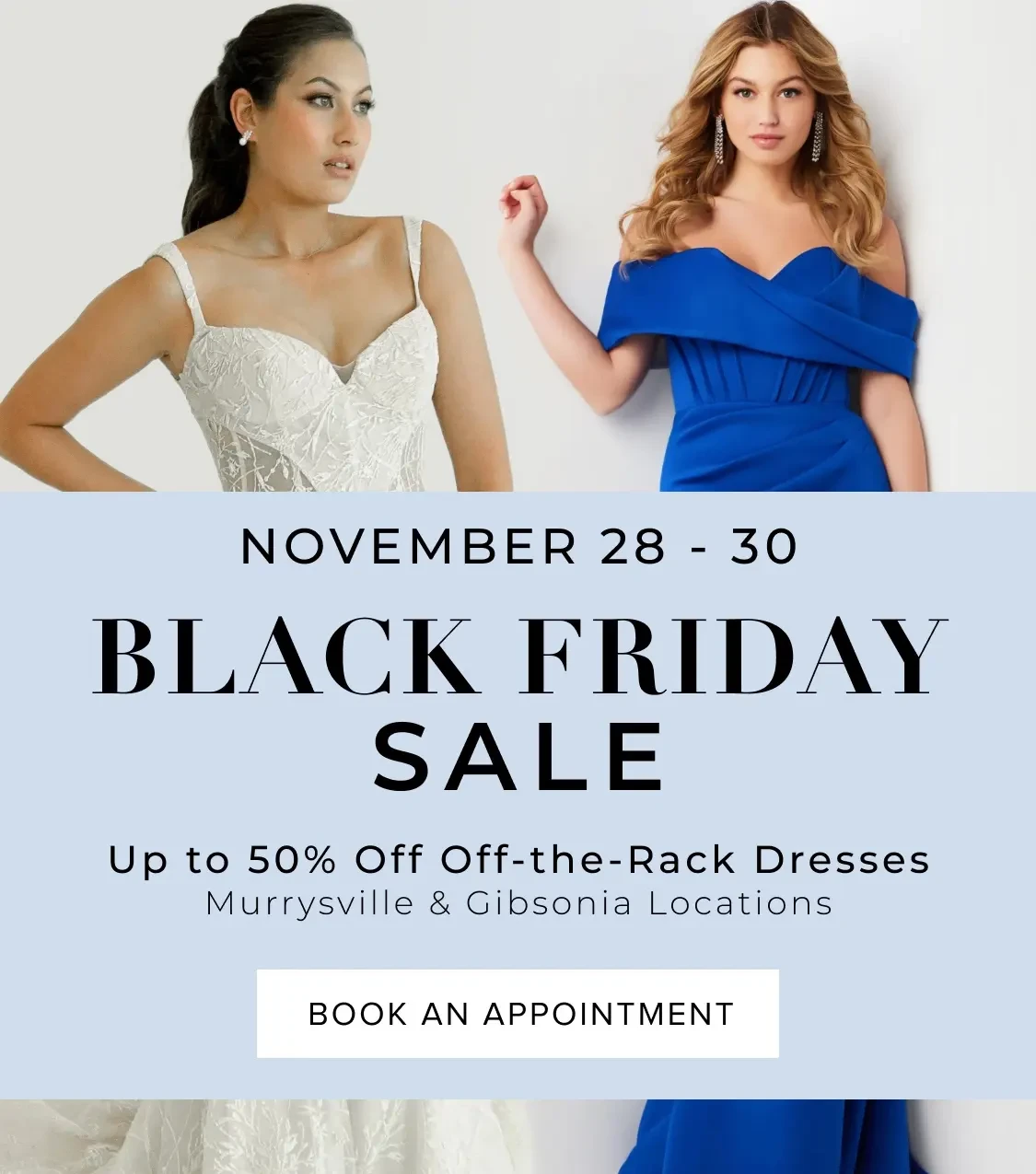 black friday sale banner 2025